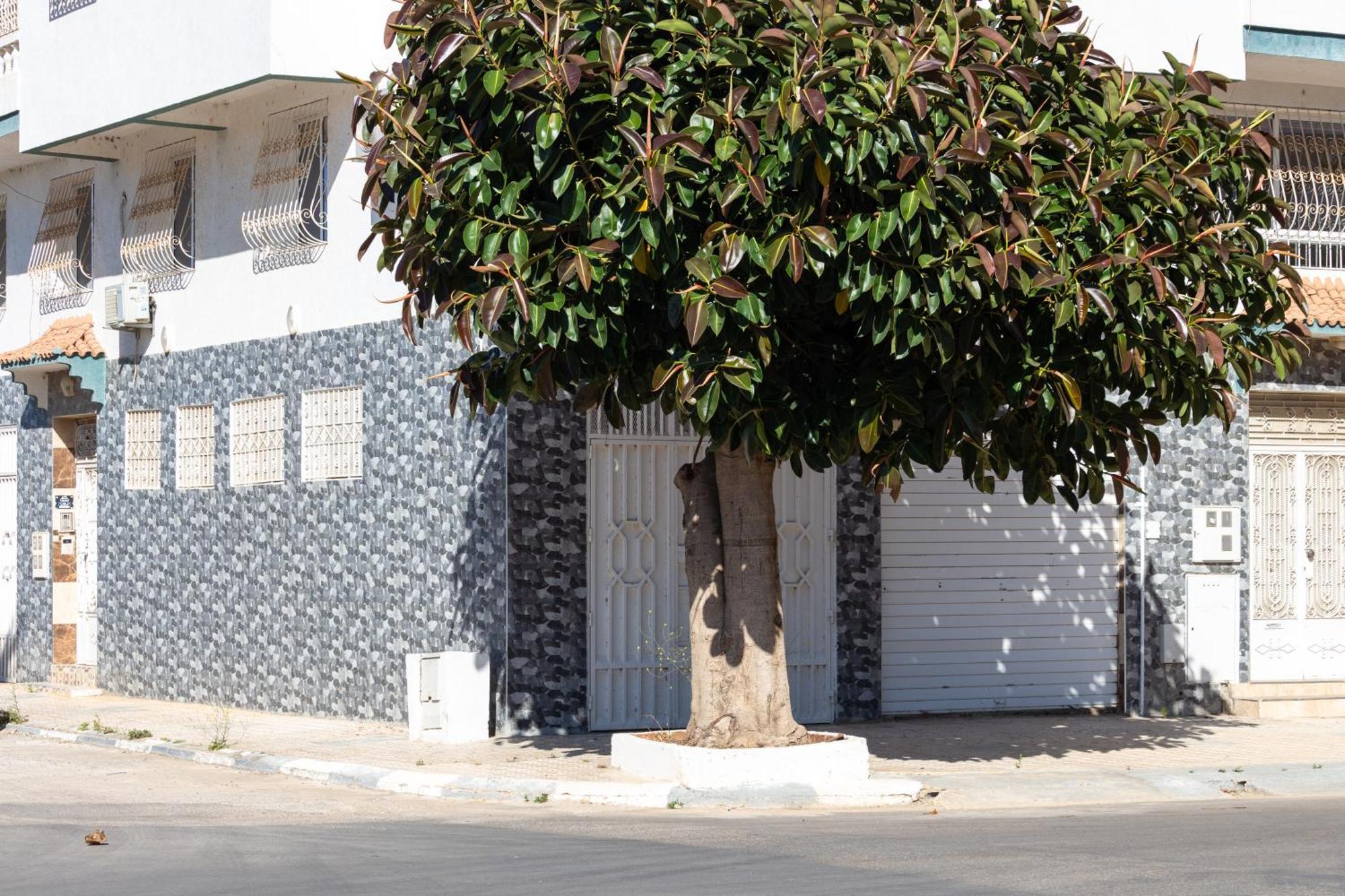 Appartements Calmes Et Spacieux Tetouan Exterior photo